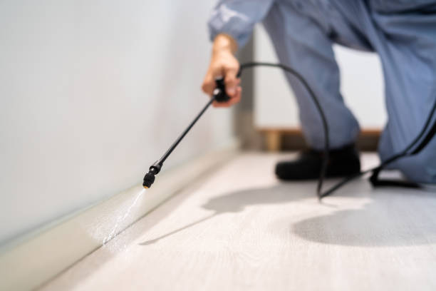 Licensed Fumigation Services service in Highlands, TX - Nex Pest Control