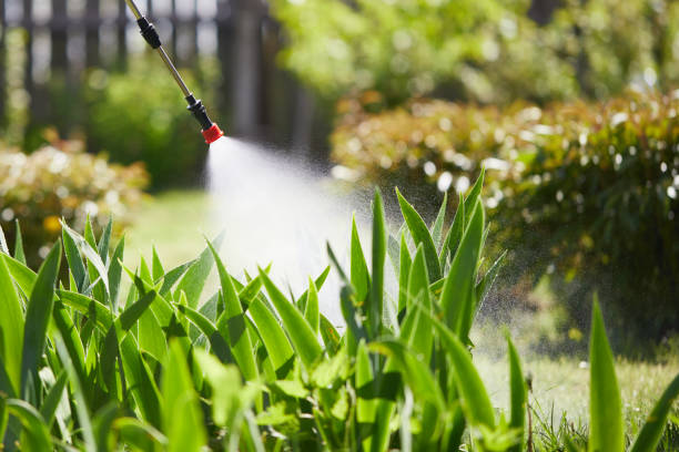 24/7 Emergency Fumigation Services experts in Highlands, TX
