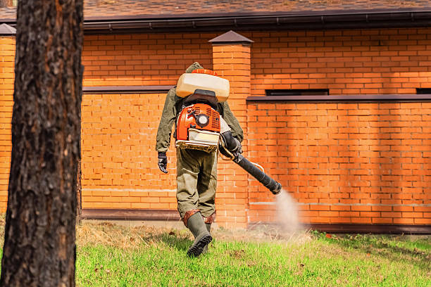 Trusted Bed Bug Control service in Highlands, TX - Nex Pest Control